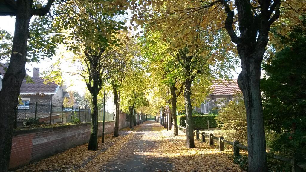 Les Gites De L'Ecole Buissonniere Lens Buitenkant foto